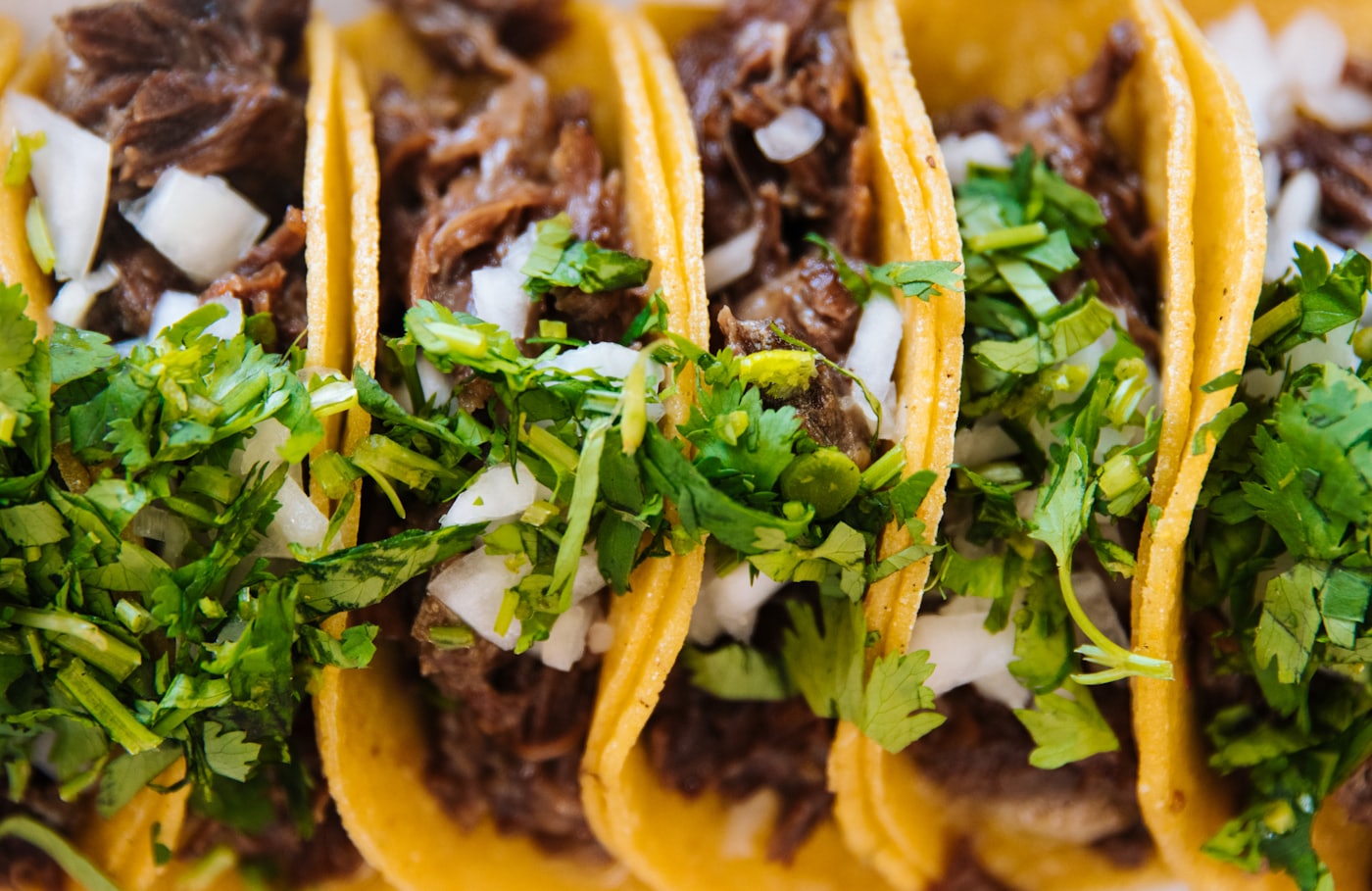 Rangée de tacos alignés côte à côte, débordant de viande effilochée, de coriandre fraîche et d'oignon blanc